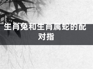 生肖兔和生肖属蛇的配对指