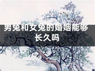 男兔和女兔的婚姻能够长久吗