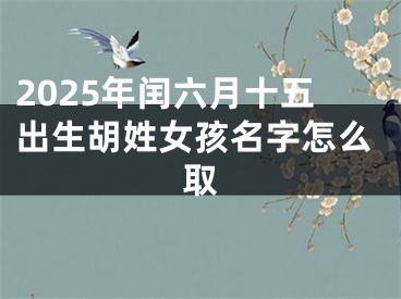 2025年闰六月十五出生胡姓女孩名字怎么取