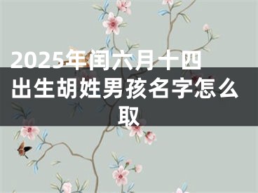 2025年闰六月十四出生胡姓男孩名字怎么取
