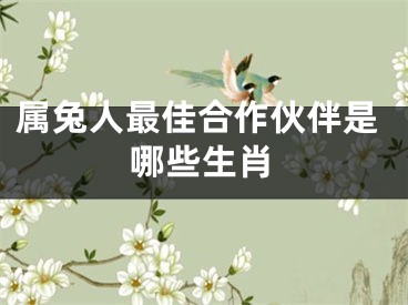 属兔人最佳合作伙伴是哪些生肖
