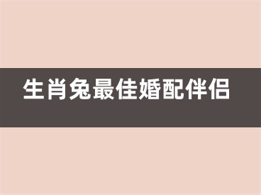 生肖兔最佳婚配伴侣