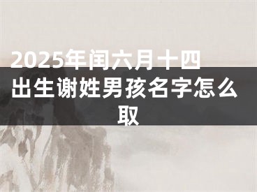 2025年闰六月十四出生谢姓男孩名字怎么取