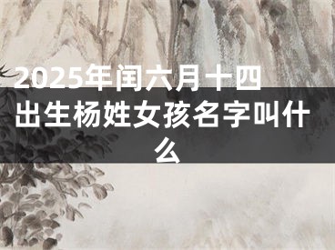 2025年闰六月十四出生杨姓女孩名字叫什么