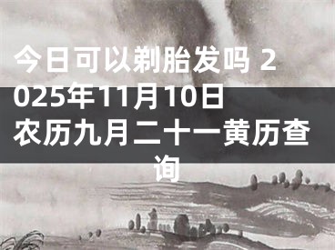 今日可以剃胎发吗 2025年11月10日农历九月二十一黄历查询