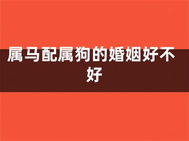属马配属狗的婚姻好不好