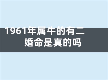 1961年属牛的有二婚命是真的吗