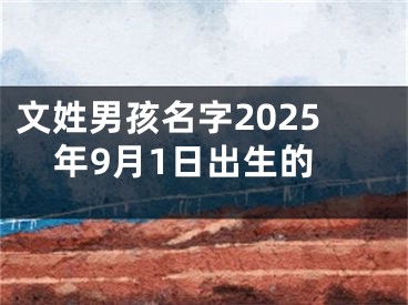 文姓男孩名字2025年9月1日出生的