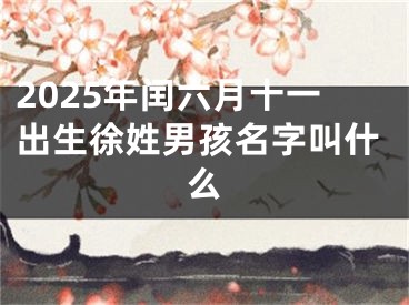2025年闰六月十一出生徐姓男孩名字叫什么