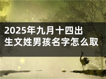 2025年九月十四出生文姓男孩名字怎么取