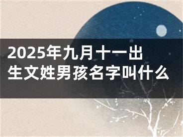 2025年九月十一出生文姓男孩名字叫什么