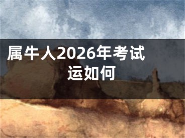 属牛人2026年考试运如何