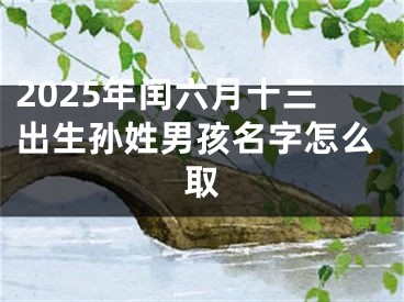 2025年闰六月十三出生孙姓男孩名字怎么取