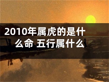 2010年属虎的是什么命 五行属什么