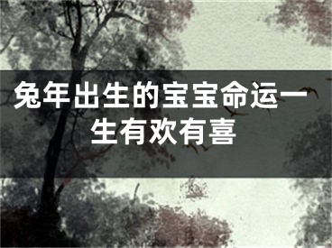 兔年出生的宝宝命运一生有欢有喜