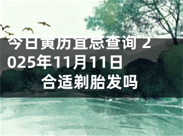 今日黄历宜忌查询 2025年11月11日合适剃胎发吗