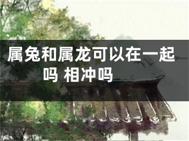 属兔和属龙可以在一起吗 相冲吗　