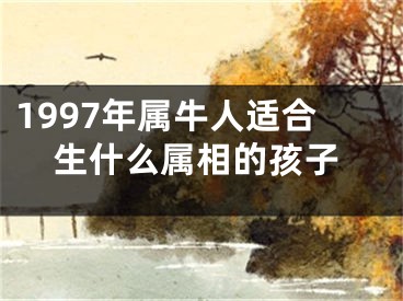 1997年属牛人适合生什么属相的孩子