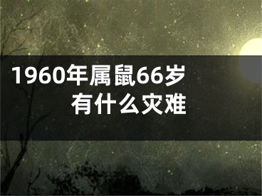 1960年属鼠66岁有什么灾难