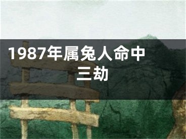 1987年属兔人命中三劫