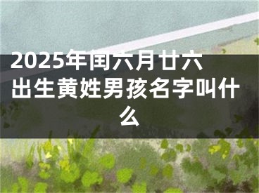 2025年闰六月廿六出生黄姓男孩名字叫什么