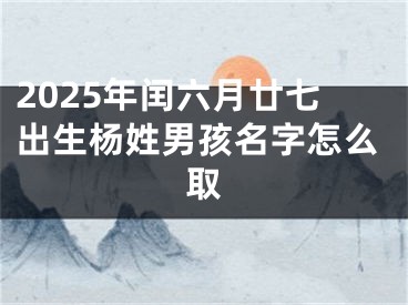 2025年闰六月廿七出生杨姓男孩名字怎么取