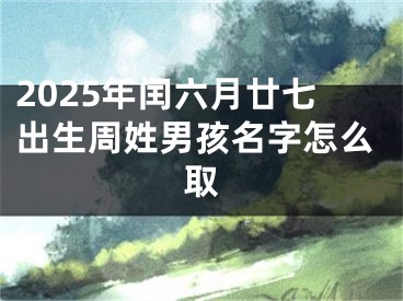 2025年闰六月廿七出生周姓男孩名字怎么取
