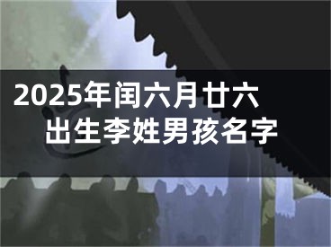 2025年闰六月廿六出生李姓男孩名字
