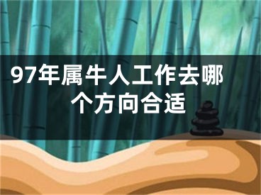 97年属牛人工作去哪个方向合适
