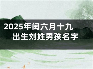 2025年闰六月十九出生刘姓男孩名字