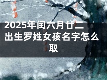 2025年闰六月廿二出生罗姓女孩名字怎么取