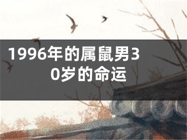1996年的属鼠男30岁的命运