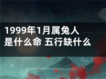 1999年1月属兔人是什么命 五行缺什么