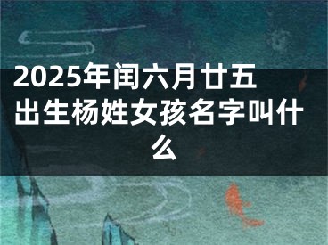 2025年闰六月廿五出生杨姓女孩名字叫什么