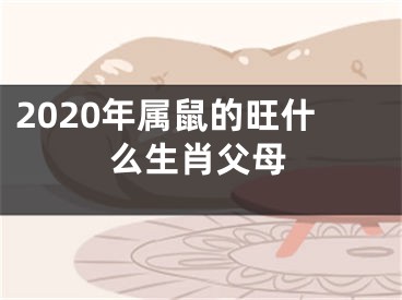 2020年属鼠的旺什么生肖父母