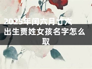 2025年闰六月廿六出生贾姓女孩名字怎么取