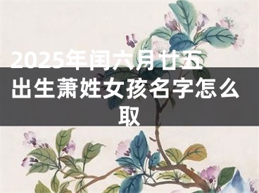 2025年闰六月廿五出生萧姓女孩名字怎么取