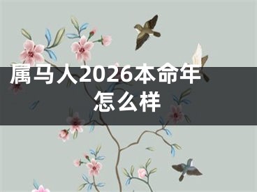 属马人2026本命年怎么样