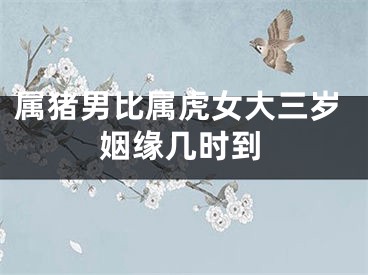 属猪男比属虎女大三岁姻缘几时到