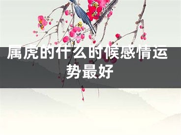 属虎的什么时候感情运势最好
