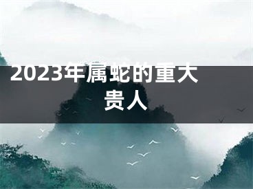 2023年属蛇的重大贵人