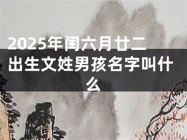 2025年闰六月廿二出生文姓男孩名字叫什么