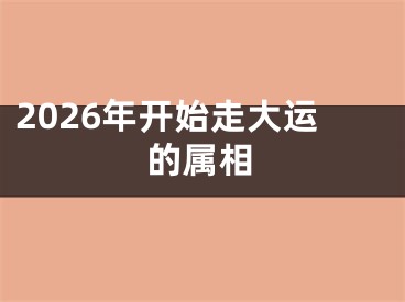 2026年开始走大运的属相