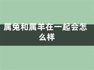 属兔和属羊在一起会怎么样