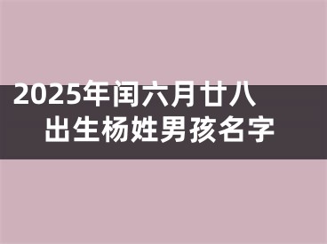 2025年闰六月廿八出生杨姓男孩名字