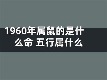 1960年属鼠的是什么命 五行属什么