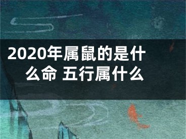 2020年属鼠的是什么命 五行属什么