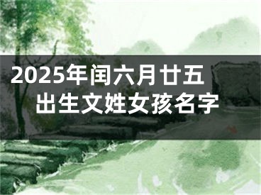 2025年闰六月廿五出生文姓女孩名字