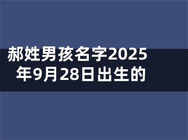 郝姓男孩名字2025年9月28日出生的