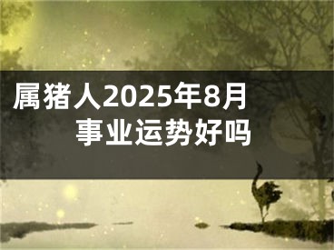 属猪人2025年8月事业运势好吗